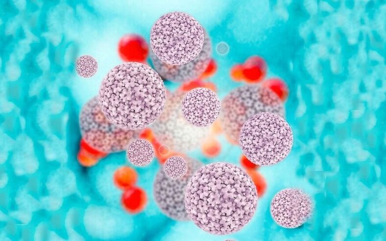 lidský papilomavirus způsobující papilomy na stydkých pyskech