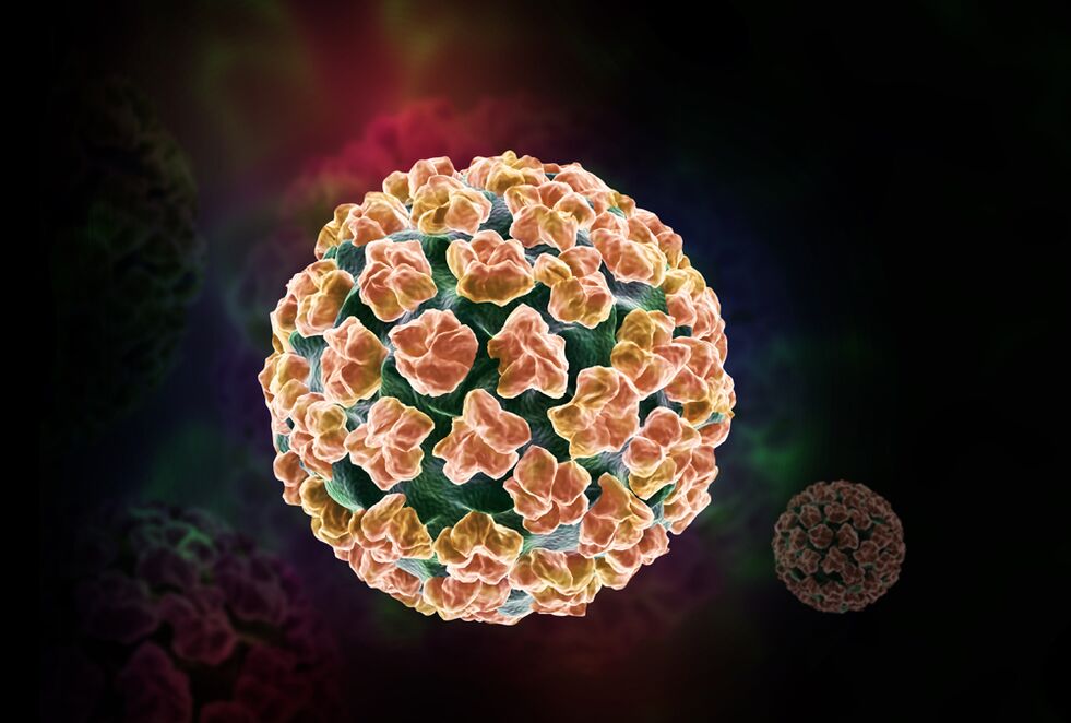 lidský papilomavirus v těle